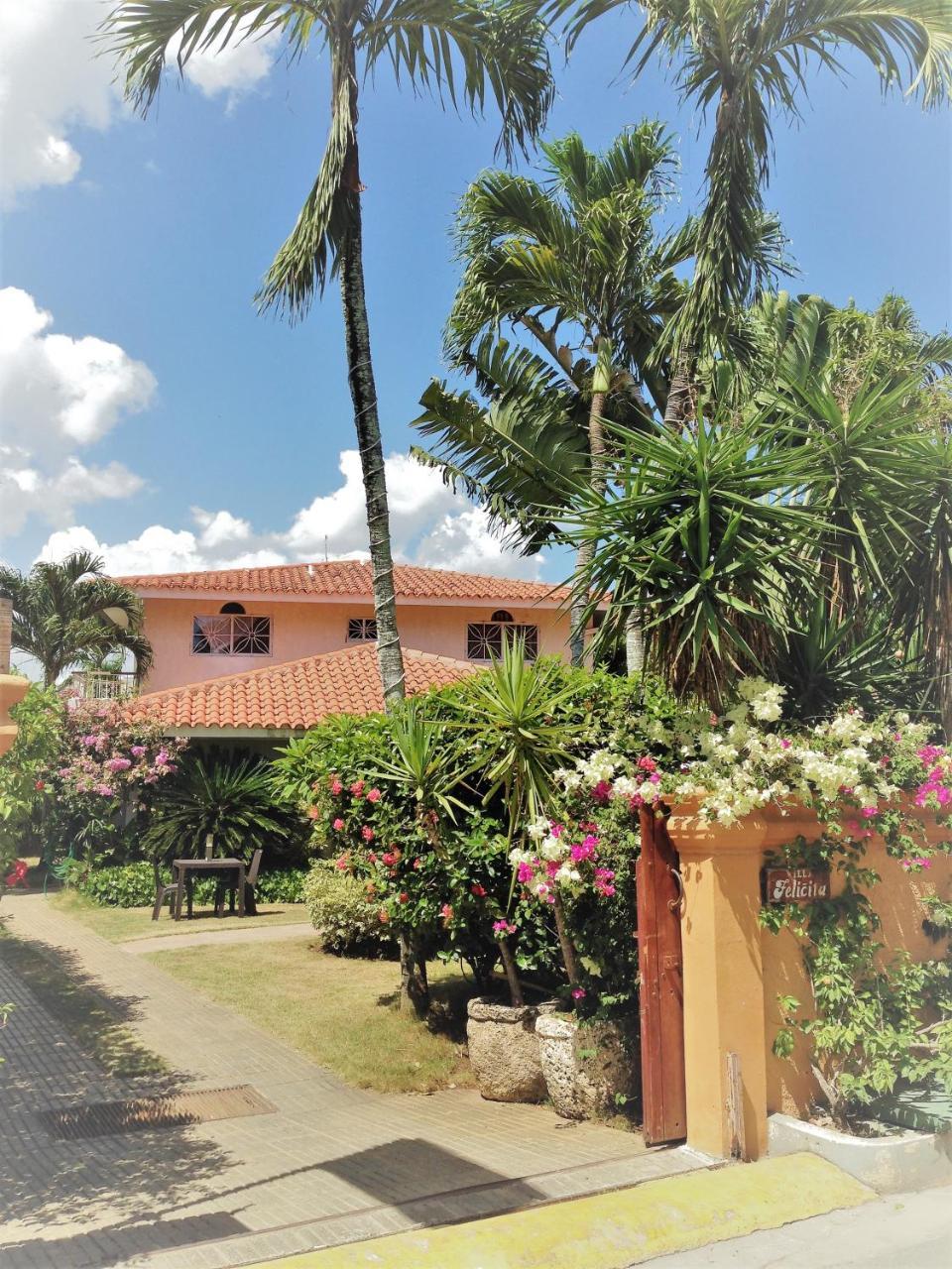 Casa Felicita B&B Y Apartamentos Bayahíbe Exterior foto